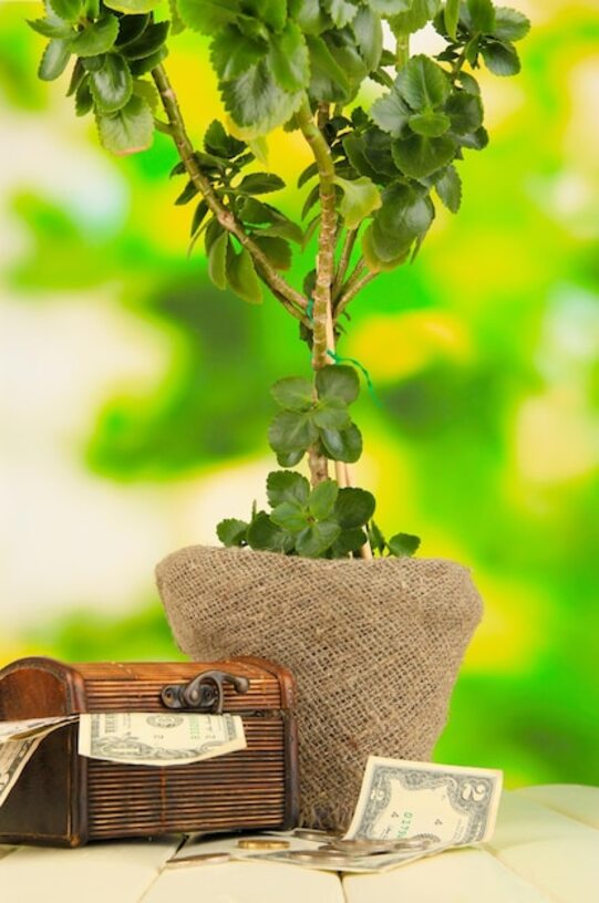 Seguridad y Naturaleza: Garantías para Inversiones Exitosas en La Fortuna